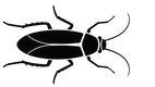 Cockroach Store